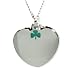 STAINLESS STEEL IRISH CLOVER HEART - This Pendant necklace (chain included) is a great gift idea a lover, wife, husband, relative boyfriend, girlfriend, fiance or friend. Romantic gift! Perfect anniversary gift idea. Love and relationship jewelry necklace! Category: Stainless steel jewelry - Stainless steel pendant necklaces for women / men / ladies or girls. Design: For women or men!