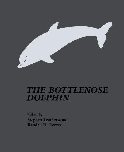 the bottlenose dolphin