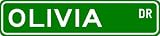 OLIVIA Street Sign ~ Personalized Family Lastname Sign ~ Gameroom, Basement, Garage Sign Novelty** METAL ALUMINUM