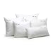 west elm Feather/Down Pillow Insert, 20