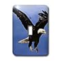 Birds - Bald Eagle - Light Switch Covers - single toggle switch