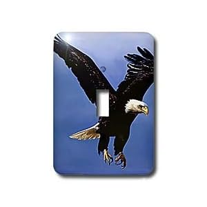 Birds - Bald Eagle - Light Switch Covers - single toggle switch by 