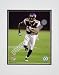 Bernard Berrian (Minnesota Vikings) 