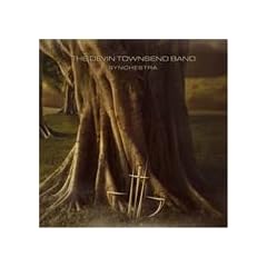 Synchestra [Vinyl LP]