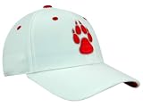 New Mexico Lobos White Fit Stretch Cap from Top of the World by Top of the World