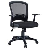 Leo Task Black Mesh Office Chair with Height Adjustable Mesh Fabric Seat