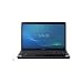 Sony VAIO VPC-EE31FX/BJ 15.5-Inch Laptop (Black)