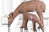 Rinehart® Broadhead Buck Target