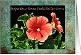 Get Well Soon Knee Surgery Peach Hibiscus Card
