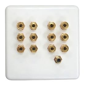 5.1/6.1C Speaker Wire Wall Plate 5.1/6.1C Speaker Wire Wall Plate