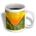 California Poppy Orange Flower Floral Photography Nature - 11oz Mug
