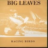 RACING BIRDS 7 INCH (7" 45) UK WHIPCORD