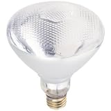 WP 75W BR38 Out Bulb