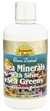 Review Dynamic Health Laboratories  / Sea Minerals with Silver & Sea Greens - 32 oz - case of 6