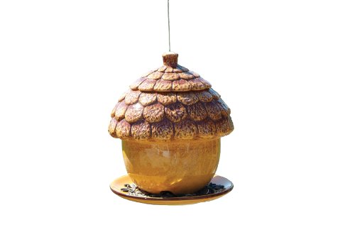 Bird Brain Acorn Bird Feeder