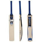 GM F2 Octane Bullet English Willow Bats