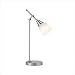 Tulip Desk Lamp in Satin Steel