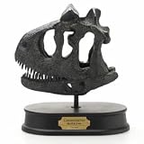 カルノタウルス スカルモデル