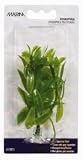 HAGEN BETTA PLANT 4 inch HYGROPHYLIA