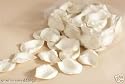 Ivory/Cream Rose Petal Flower Wedding Favour Confetti
