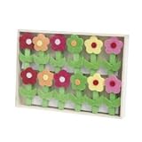 12 Daisy Pegs in Wood Box