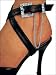 Buckle Down! Shoe Wrap