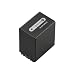 Sony NPFH100 H Series Actiforce Hybrid InfoLithium Battery for most Sony Camcorders