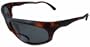 Oasis Optics Fishing Bifocal Sunglasses Reader Polarized Tortoise or Black Frame