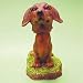 Mini Bobble Head Dog Dachshund