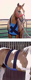 Torso Equine Ice Wrap - Elite-Kold