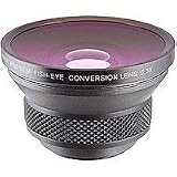 Raynox HD-3032 HD 0.3X Semi Fish Eye Lens (37MM)