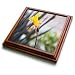 A Yellow Flower that Came From a Bulb Close Up - 8x8 Trivet With 6x6 Ceramic Tile