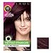 Clairol Herbal Essence Hair Color Bronzed Rubies Dark Burgundy Brown # 67 - 1 Kit.