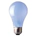 Bulbrite 60A19FR/N 60W 120V Full Spectrum True Daylight A19 Bulb, Frost