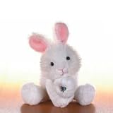 Webkinz Lil Kinz Rabbit Bunny Adopt Pet Interactive Online NEW Release January 2007 Webkin Little Kinz Small Size Baby White Bunny Rabbit Webkins