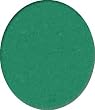 Dollhouse Green Wall to Wall Carpeting