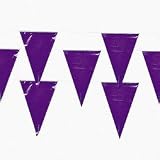 Purple Pennant Banner (100 ft)
