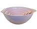 Reston Lloyd Calypso Basics 5 Pcs Melamine Bowl Set in Pink