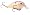 Chart Shad