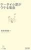 ケータイ小説がウケる理由 (マイコミ新書)