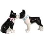 Boston Terrier Dog Salt and Pepper Shaker Set Kitchen