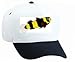 White Cap with fish, humlefisk, aquarium, animal, bumblebeefish