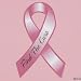 12 Breast Cancer Awareness Pink Ribbon Car Magnets