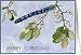 Feather and Mistletoe Merry Christmas Card