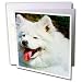 Dogs Samoyed - Samoyed - Greeting Cards-12 Greeting Cards with envelopes