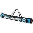 Dynastar 2 Pair Ski Bag