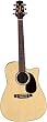 Takamine EG530SSC Dreadnought Cutaway Solid Top / Back Acoustic-Electric Guitar