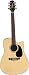 Musical Instruments : Takamine EG530SSC Dreadnought Cutaway Solid Top / Back Acoustic-Electric Guitar