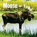 Moose 2010 Wall Calendar