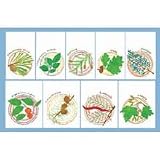 Once Upon a Tree Iron-On Transfers & Towels, Set of 9